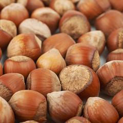 Surface coated with hazelnuts
