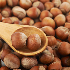 Surface coated with hazelnuts