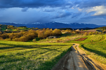 Fototapeta premium Spring forest and meadows landscape in Slovakia. Coming storm panorama. Blooming cherry trees. Sunlit country.