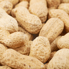 Surface coated with peanuts