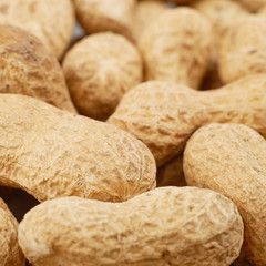 Surface coated with peanuts