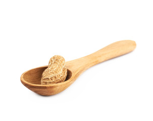 Single peanut in a spoon