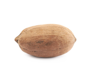 Single pecan nut isolated