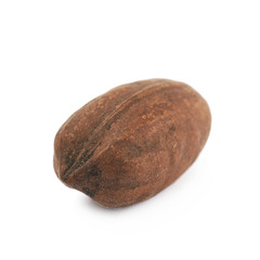 Single pecan nut isolated