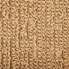 Fragment of a loofa sponge