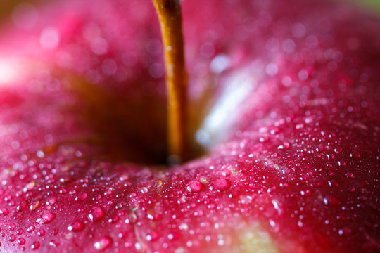 Red Apple, Macro