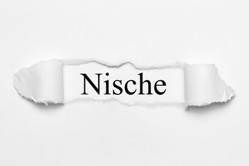 Nische auf weißen gerissenen Papier