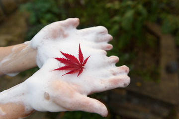 natural foam and maple leaf