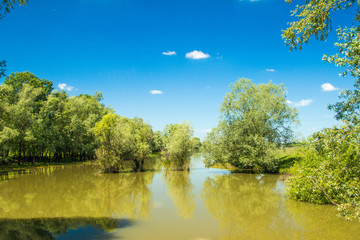     Beautiful landscape, flood in Nature park Lonjsko polje Croatia 