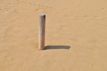 砂にたつ木の棒