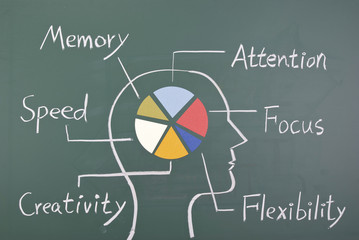 Concept of six ability in human brain
