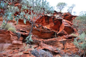 Fototapety  Australia - Kings Canyon