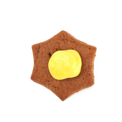 Fresh baked ginger cookie isolated