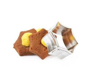 Fresh baked ginger cookie isolated