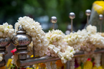Close-up detail of multiple flower garlands made of Jasmine and crown flowers (Calotropis gigantea) hung on a wet metal pole at a temple. Bangkok, Thailand. Travel and religion concept.