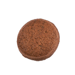 Fresh baked ginger cookie isolated