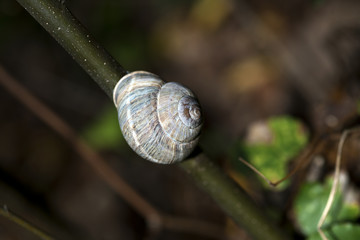 Autumn, also known as fall.Some cultures regard the autumnal equinox as "mid-autumn".Ataturk Arboretum Istanbul,Turkey