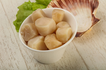 Raw scallops heap