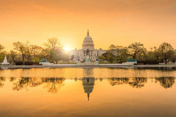 The United States Capitol Building in Washington DC