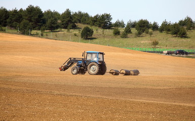 Obraz premium Spring field works