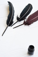 black and brown feather with ink isolated on white background