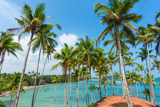 Lagoon on tropical island with palms