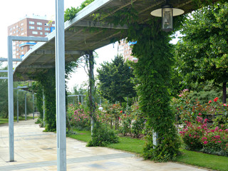 Garden structure