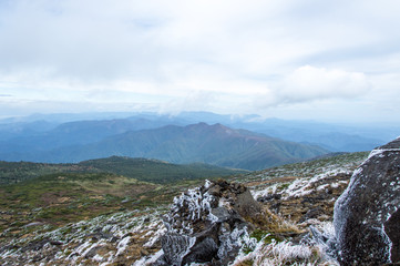 Obraz premium Frozen branches in front of a mountain range, Japan, in Asia - Stock image
