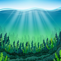 Seaweed on the ocean floor