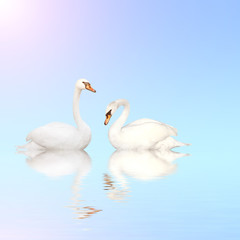 Plakat Mute swan on blue water