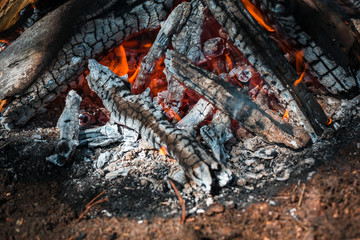 Fire. A bright flame. A breeze on the nature. Forest fires. Texture of smoking coals.