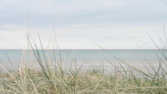 Sliding view through grass on the sandy beach with view of the horizon