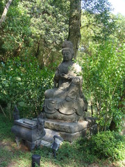 Fototapeta na wymiar Guanyin Temple