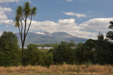 Obraz premium New Zealand - Tongariro volcano