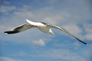 New Zealand -  Christchurch