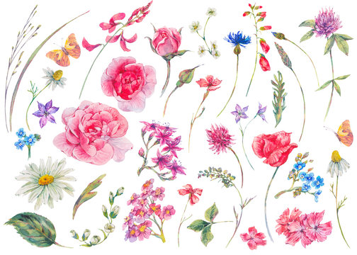 Watercolor set of vintage floral summer natural elements.
