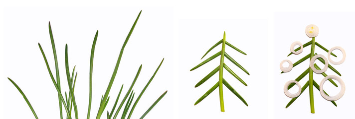 Green onion isolated on the white background. Application