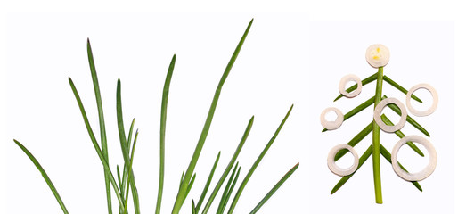 Green onion isolated on the white background. Application