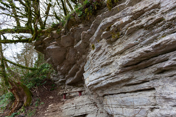 Горные породы. Осадочные. Каменные слои.  Ущелье реки Хоста. Хостинская тисо-самшитовая роща, Кавказский биосферный заповедник, Сочи, Россия
