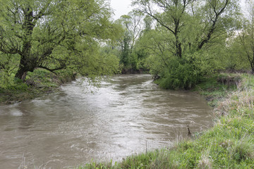 The drained river and its bank.