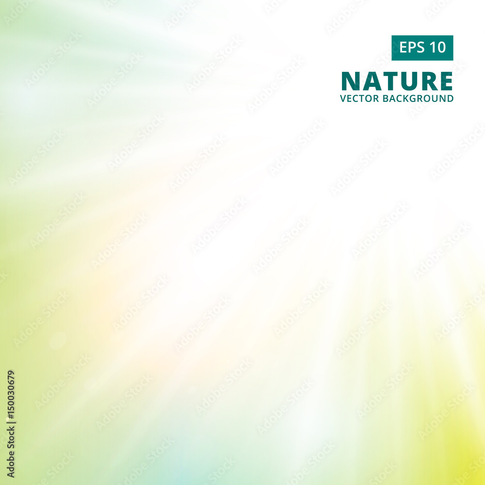 Wall mural sparkling sunlight and flares of light from the sides on a green background of nature. vector backgr
