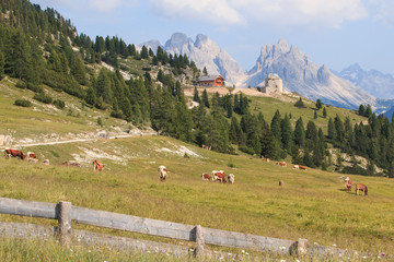 Alpe di Siusi