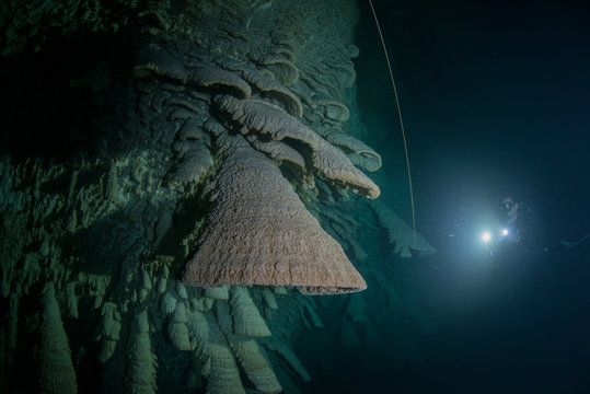 Scuba diver exploring unique natural formations known as "bells" in submerged caves beneath the jungle