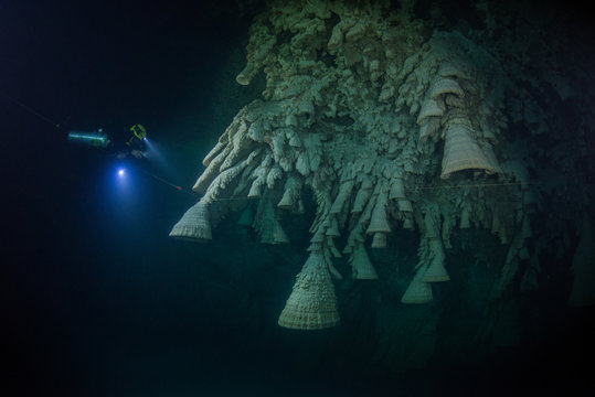 Scuba diver exploring unique natural formations known as "bells" in submerged caves beneath the jungle
