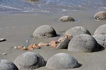 New Zealand - Moeraki