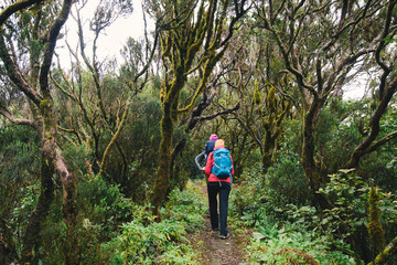 Friends with backpacks explore the old wet relic forest in the Canary Islands, Spain