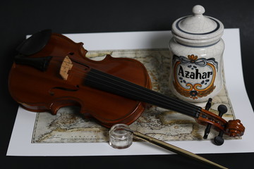 Violin