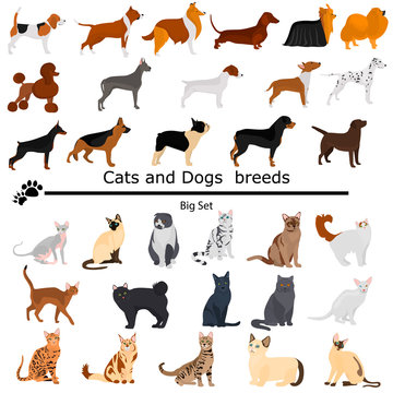 Dogs and cats set color flat icons for web and mobile design