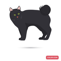 Kurilian Bobtail cat breed color flat icon for web and mobile design