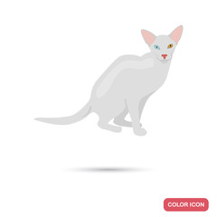 Oriental cat breed for web and mobile design
